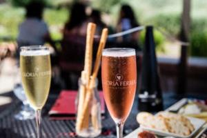 精湛球技助力球队胜利，篮球比赛激情迸发