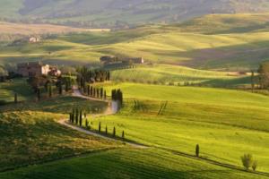 精湛球技助力球队胜利，篮球比赛激情迸发