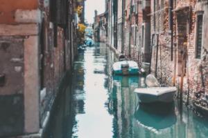 精湛球技助力球队胜利，篮球比赛激情迸发