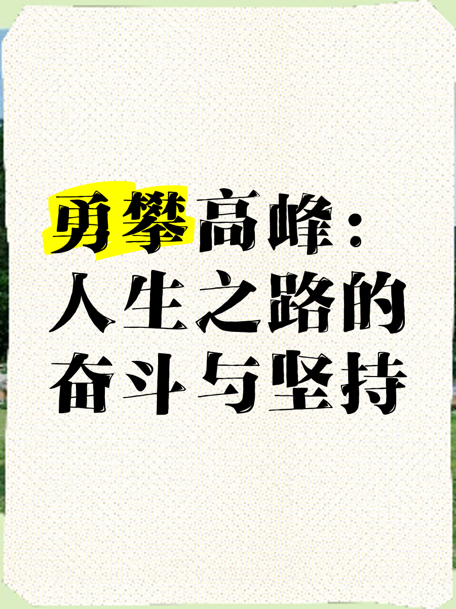 关于勇攀高峰，球队勇夺胜利，迈向更高荣誉的信息
